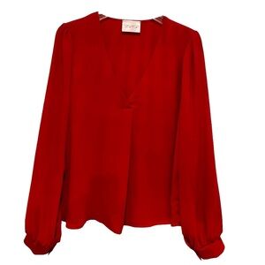 Dee Dee Long Sleeve V Neck Rust Blouse (Size L)